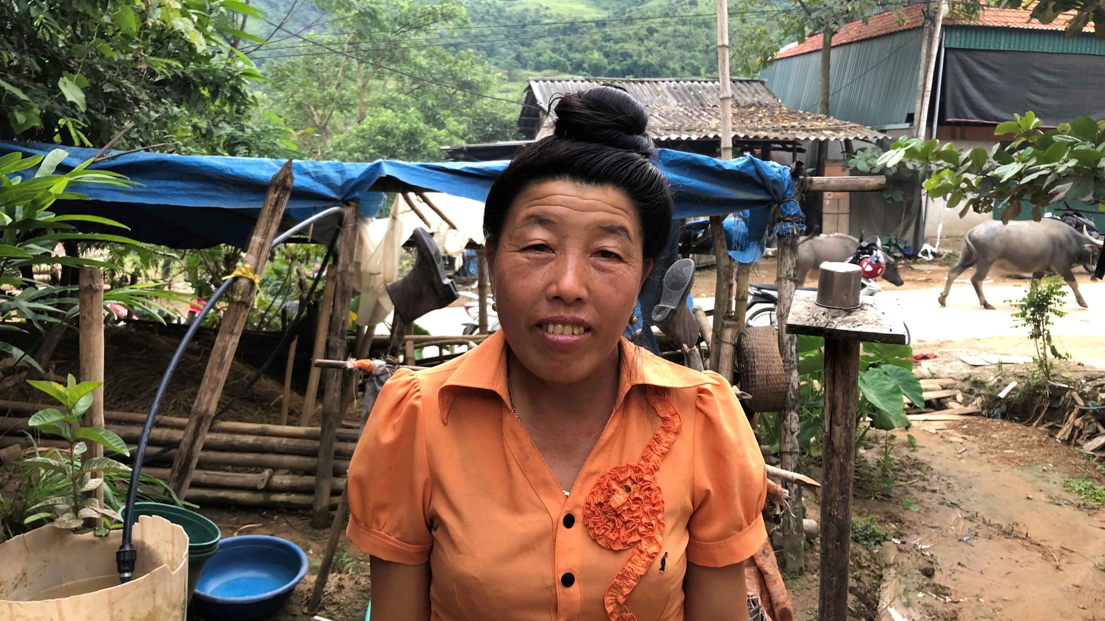 Nieuwsbrief december 2018